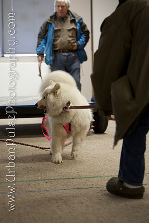 untitled-0593