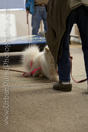 untitled-0598