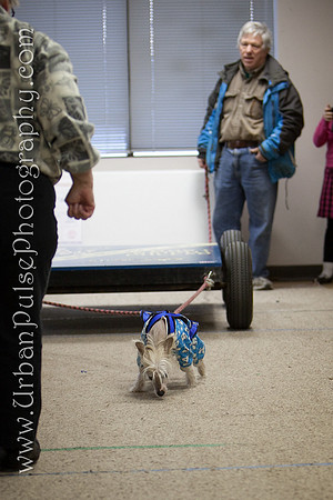 untitled-0631