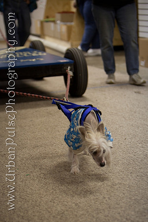 untitled-0633