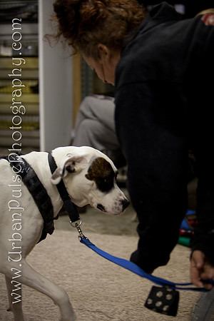 untitled-0642