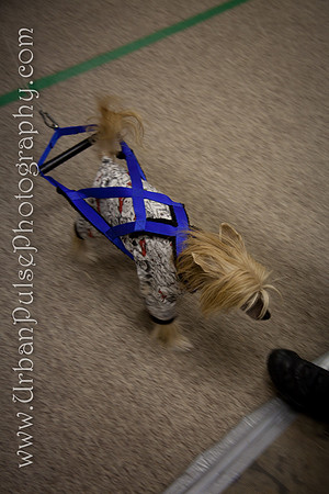 untitled-0665