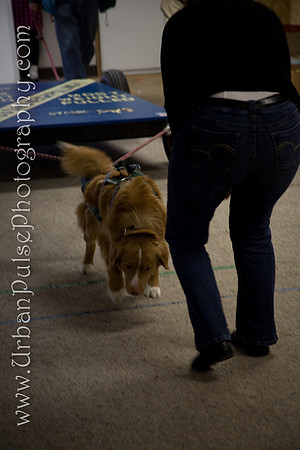 untitled-0668