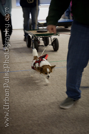 untitled-0694