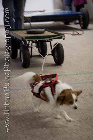 untitled-0695