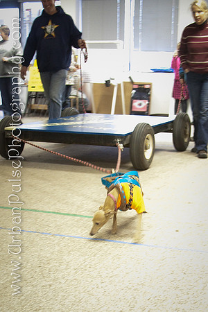 untitled-0746