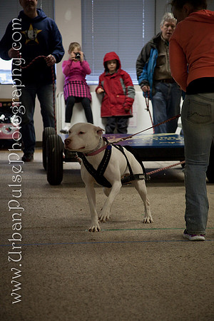 untitled-0759