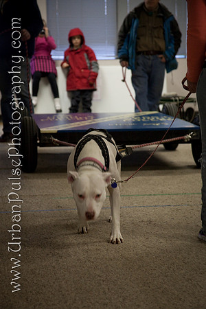untitled-0760