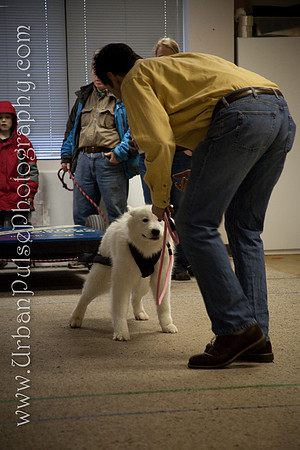 untitled-0767