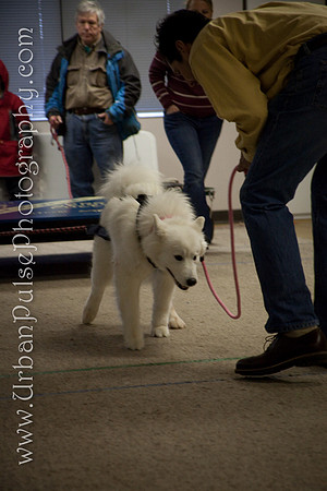 untitled-0768