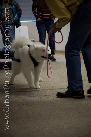 untitled-0769