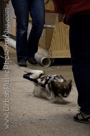 untitled-0775