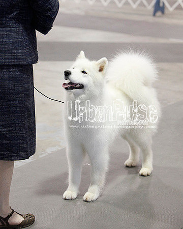 Fargo_2011-4527
