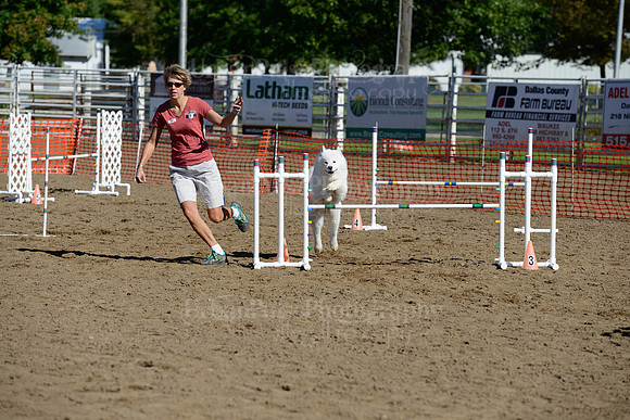 AGILITY-1972