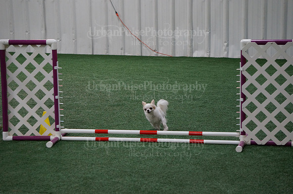 2015 A OPEN STANDARD MON-03998