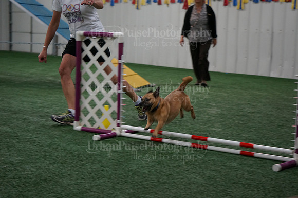 2015 A NOVICE STANDARD MON-04081