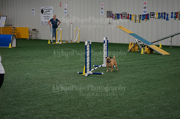 2015 A NOVICE STANDARD MON-04085