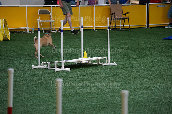 2015 A NOVICE STANDARD MON-04107