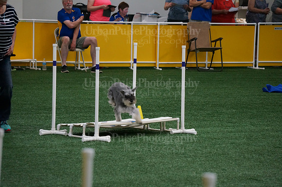 2015 A NOVICE STANDARD MON-04112