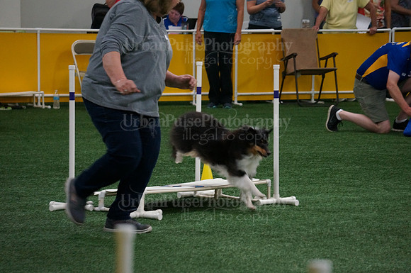 2015 A NOVICE STANDARD MON-04119