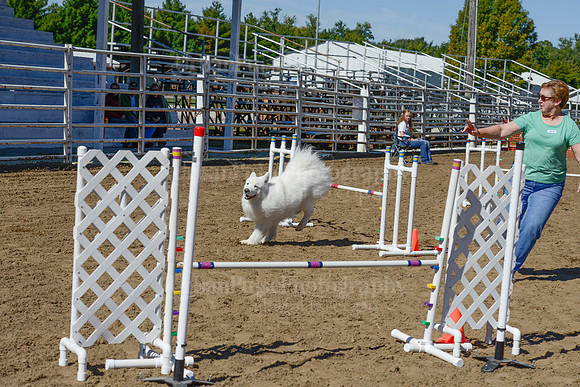 AGILITY-2358