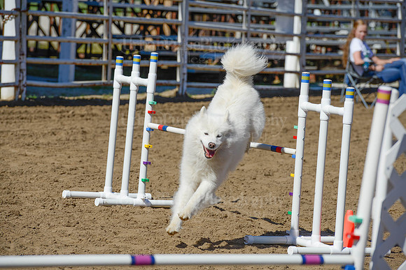 AGILITY-2268