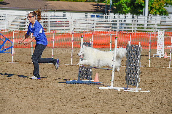 AGILITY-2146