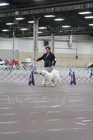 2015 B OPEN-4265