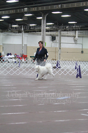 2015 B OPEN-4266