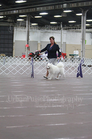2015 B OPEN-4268