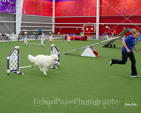 AGILITY_9475