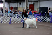 2015 Obedience Novice A