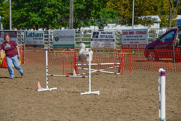 AGILITY-2232