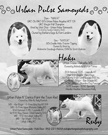 BULLETIN AD PG1