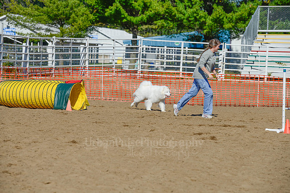 AGILITY-2166