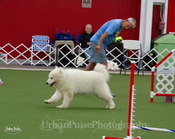 AGILITY_9502