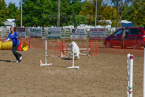 AGILITY-2212