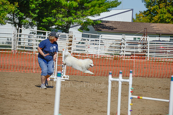 AGILITY-2401