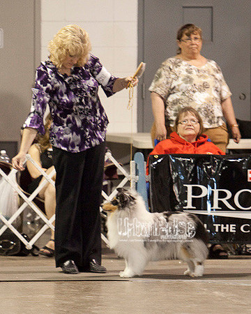 Fargo_2011-3951