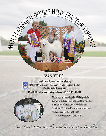 Mater SCA Bulletin Ad 2014