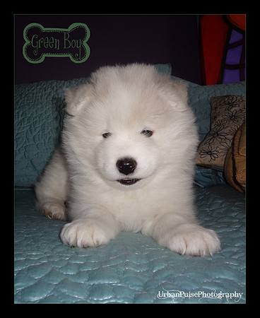 KEATS 5 WKS-DSC00114