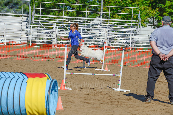AGILITY-2133