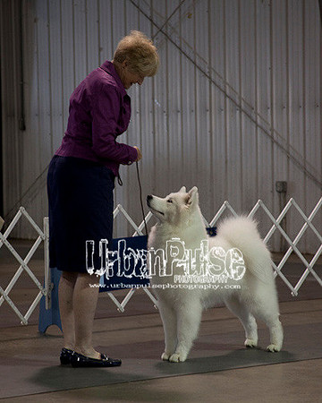 Fargo_2011-3524