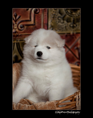 Keats_6weeks_0238