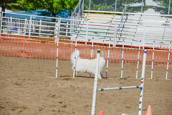 AGILITY-2396