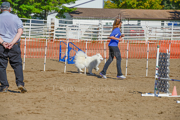AGILITY-2140