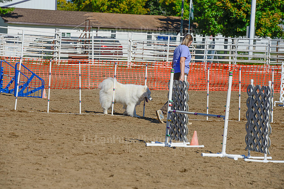 AGILITY-2110