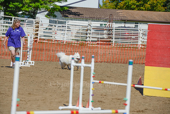 AGILITY-2304