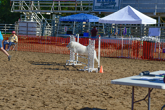 AGILITY-1864