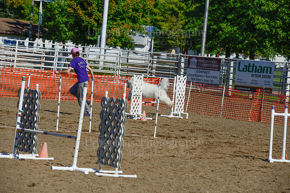 AGILITY-2184